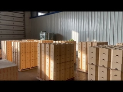 DN14 Briques d'argile de feu de faible porosité Briques d'argile de 42% à 47% Al2o3 Briques de feu à haute température